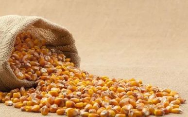 2018年廣東省春播作物種子市場供求與價格權威分析