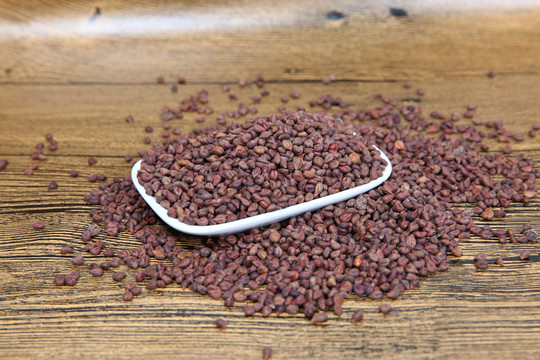 稻谷種子 從田野到餐桌的農作物生命之源