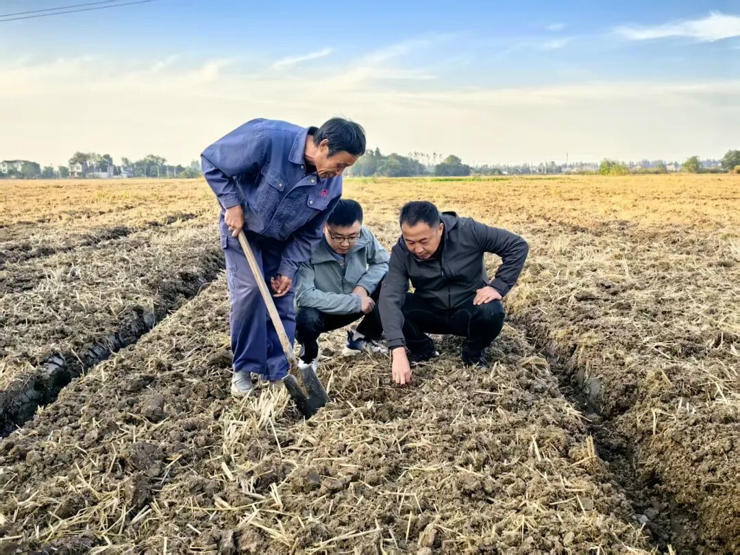 “農技+農機”雙擎驅動，為秋播秋種注入優質“種子力量”